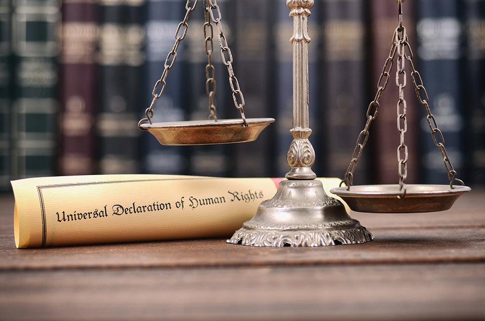 a pair of scales next to a scroll of the Universal Declaration of Human Rights