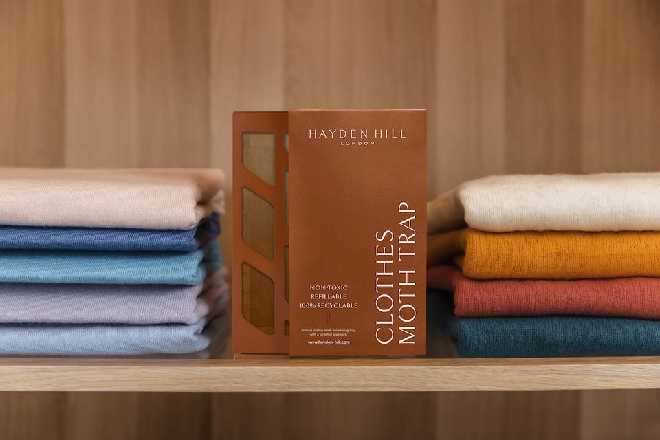 a Hayden Hill Clothes Moth Trap sitting between cashmere sweaters on a shelf