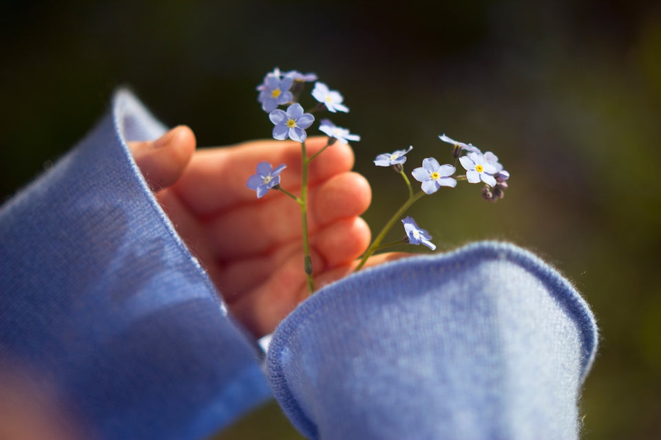 a close up of hands in blue cashmere sleeves holding blue flowers