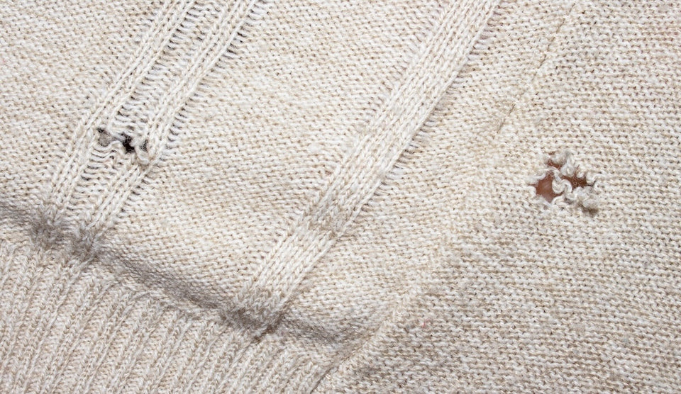 a close up of a woolen sweater showing the holes made by Clothes Moth Larvae