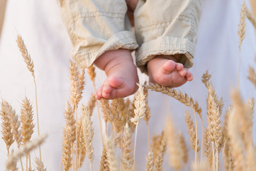 a baby’s feet with ears of wheat in the background