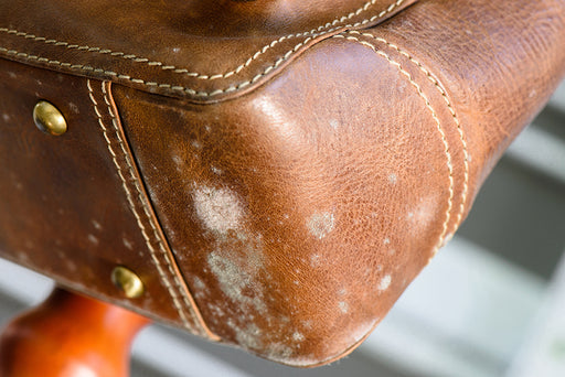 mildew on the bottom of a leather bag