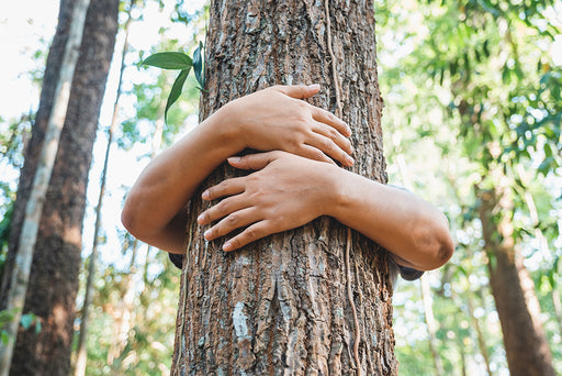 a child wrapping their arms around a tree trunk