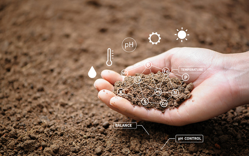 a hand holding some earth with symbols representing PH and temperature