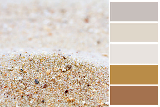 a palette of sand colors