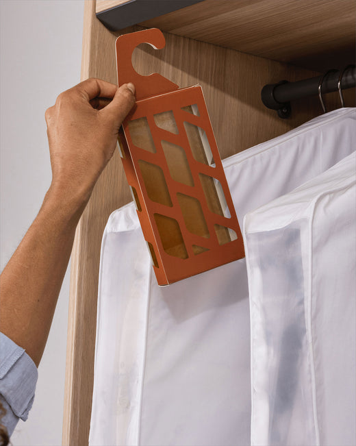 a clothes moth trap being places in a closet