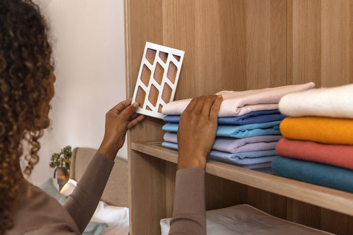 a woman placing a Hayden Hill moth trap into her closet