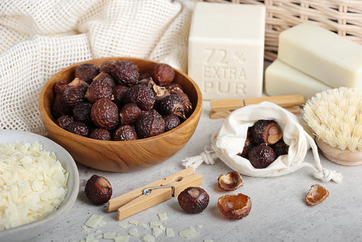 soap nuts and Castile soap made from vegetable oils
