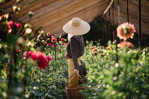 the back view of a woman in the garden with a large straw hat and wicker basket